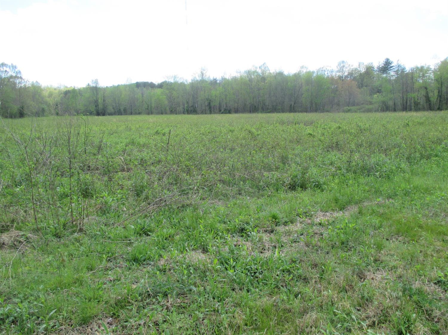 2202 Croley Bend Road Williamsburg, KY 40769 - Photo 1 of 3 Listing Photo