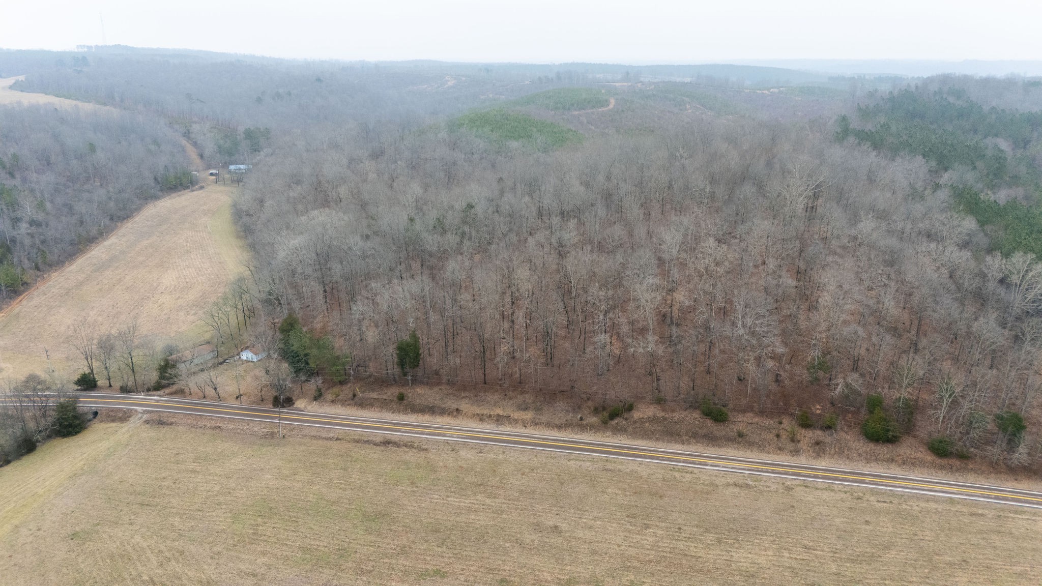 3795 Wayland Springs Road Iron City, TN 38463 - Photo 11 of 27