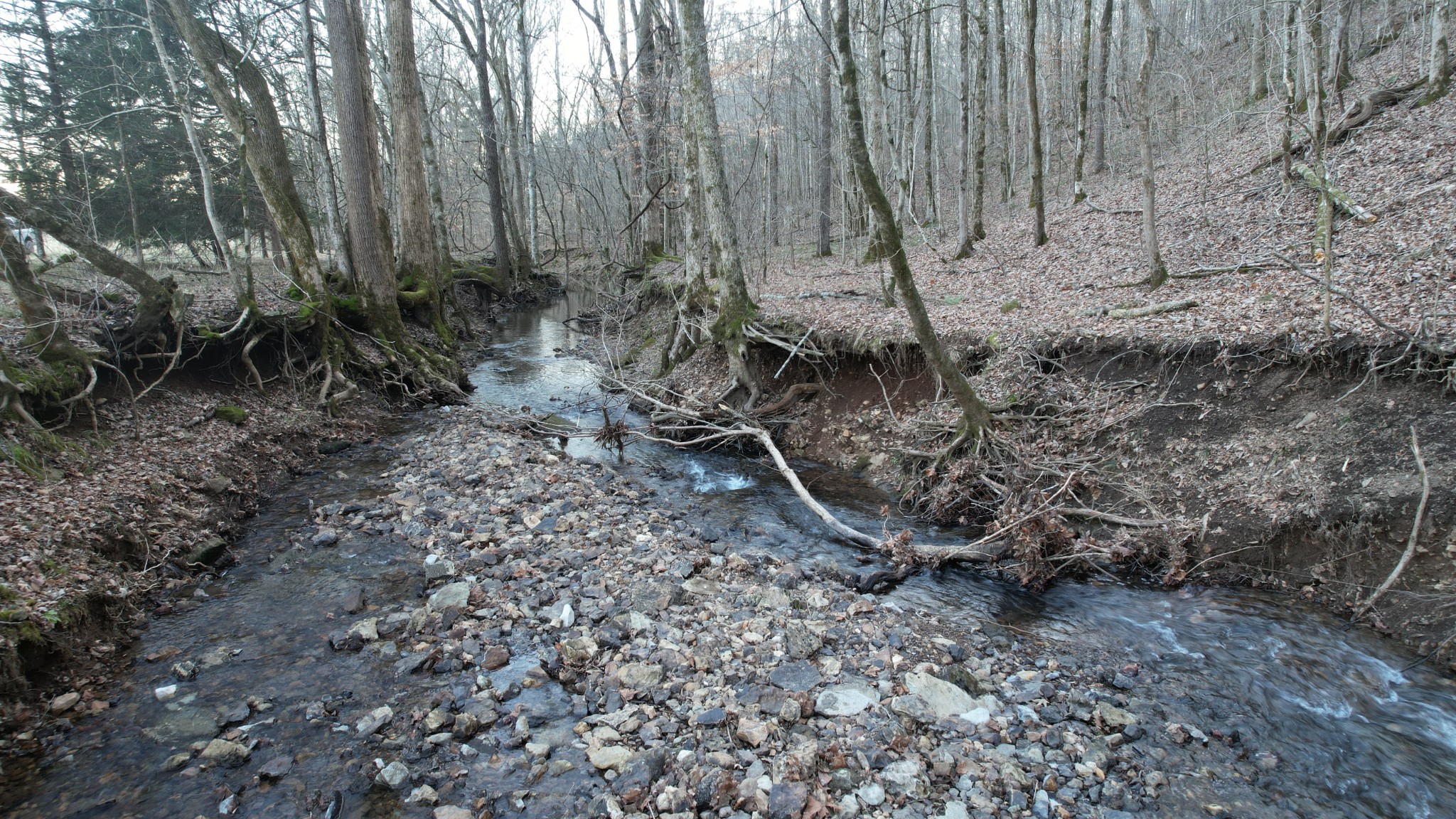 3795 Wayland Springs Road Iron City, TN 38463 - Photo 19 of 27