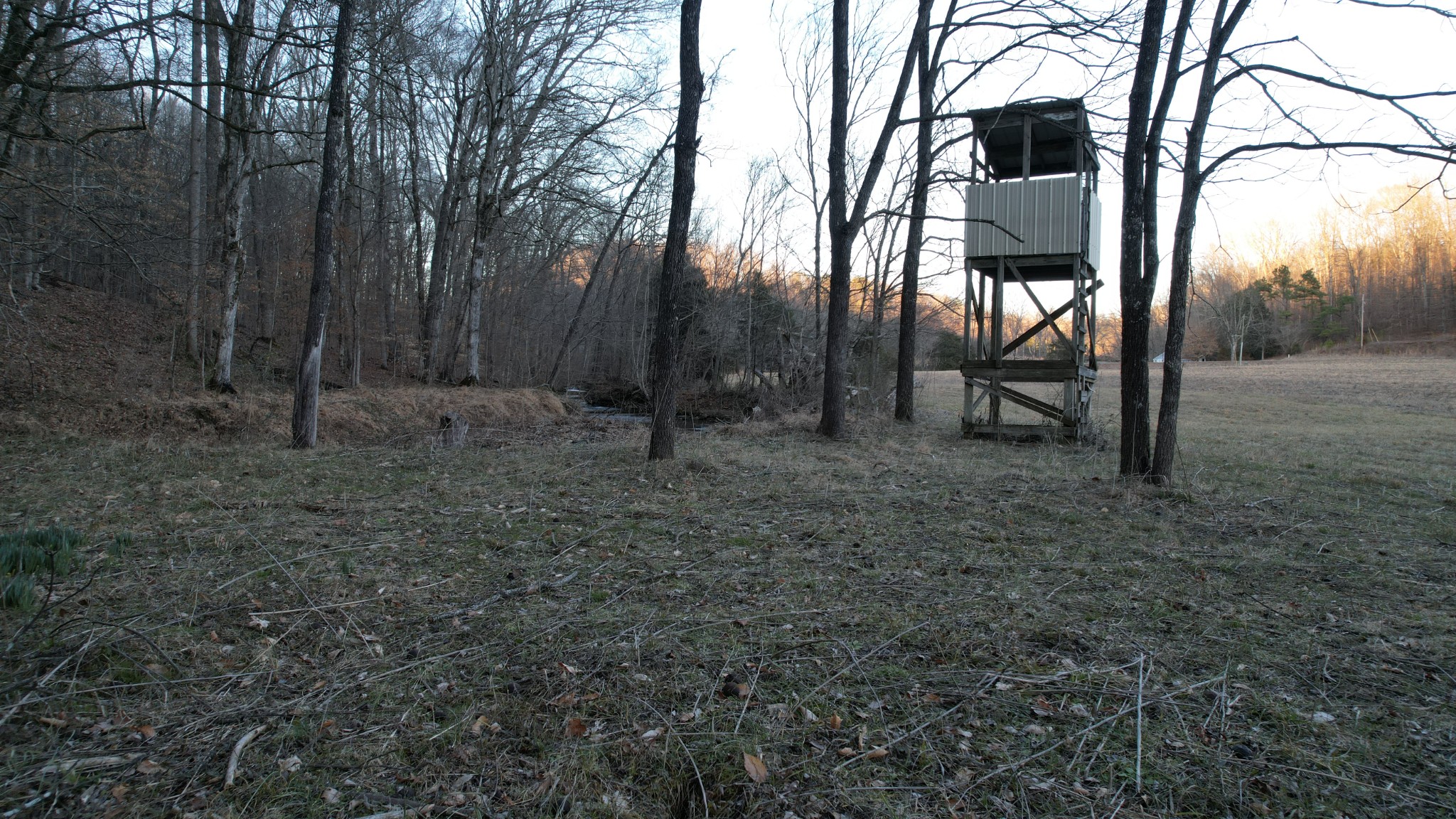 3795 Wayland Springs Road Iron City, TN 38463 - Photo 20 of 27