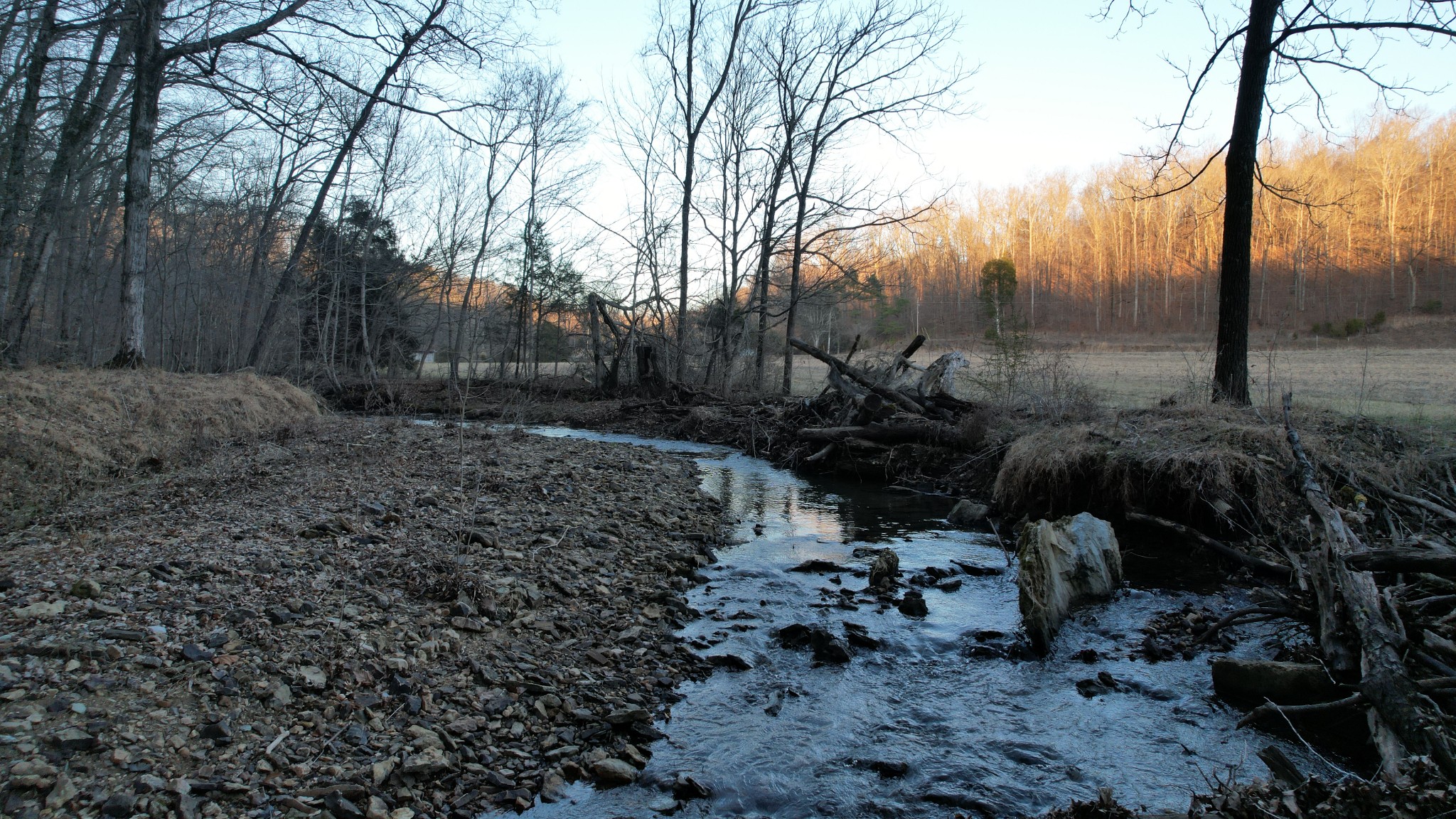 3795 Wayland Springs Road Iron City, TN 38463 - Photo 26 of 27