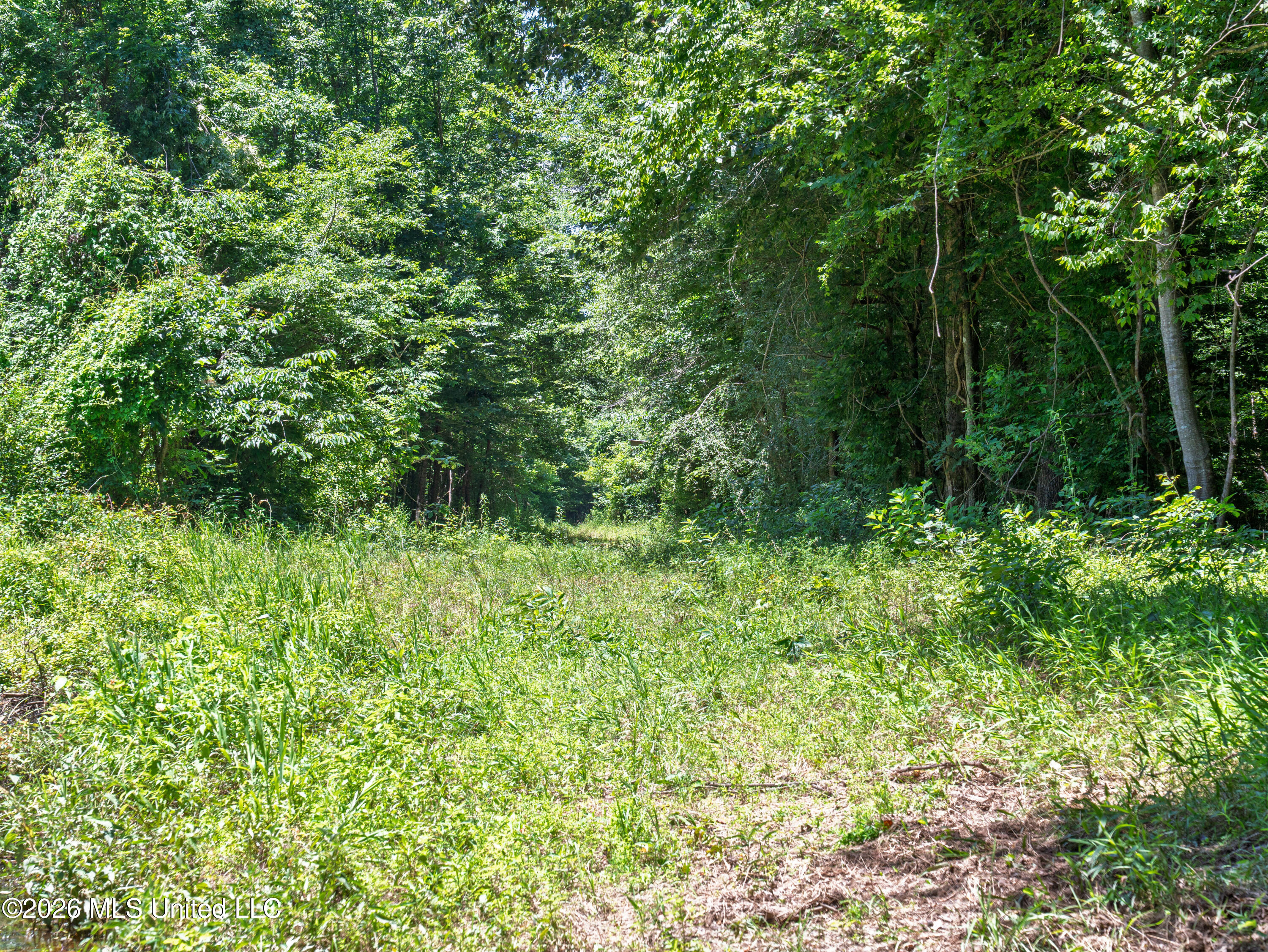 23 Co Road Bay Springs, MS 39422 - Photo 18 of 64 A7403753