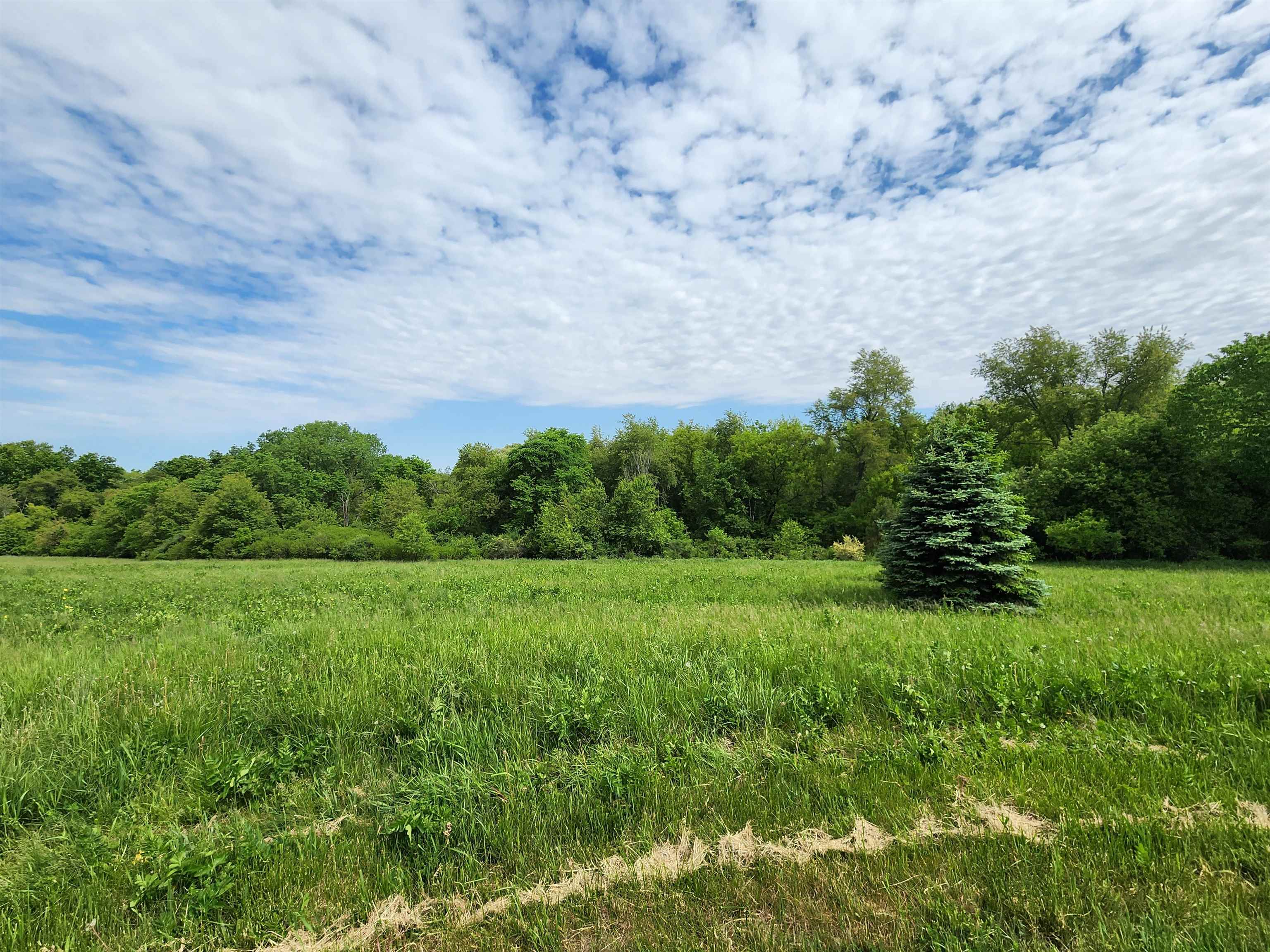 19-19 Timber Ridge Road Lake Carroll, IL 61046 - Photo 2 of 7 a view of a field of grass and trees