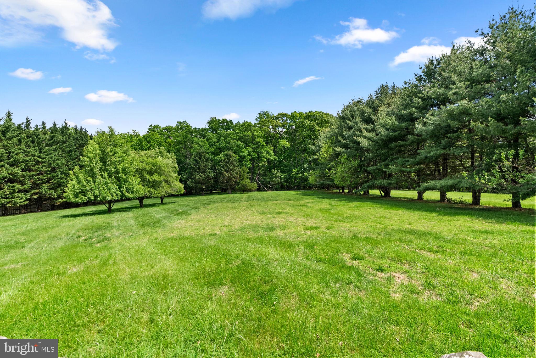 17513 Country View Way Mount Airy, MD 21771 - Photo 58 of 59 a view of a yard with a tree