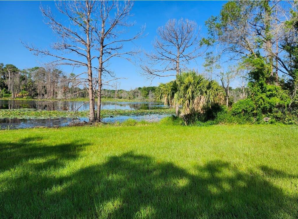 Lake Geneva Road Geneva, FL 32732 - Photo 1 of 1 Tranquil Lake Geneva