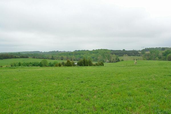 Lovely property
