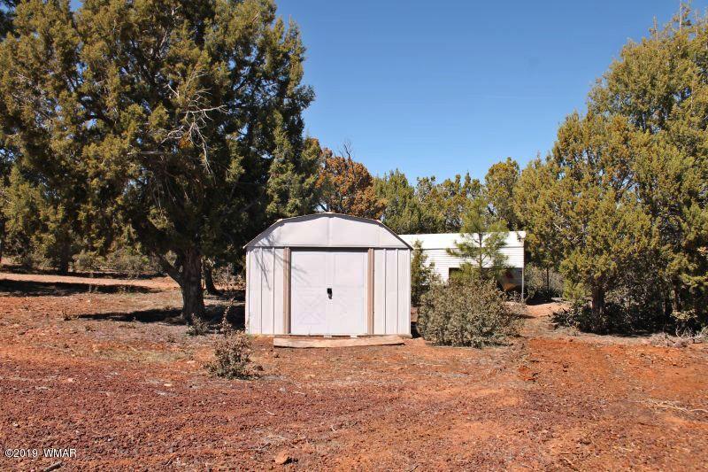 1156 Wilson Road Show Low, AZ 85901 - Photo 23 of 23