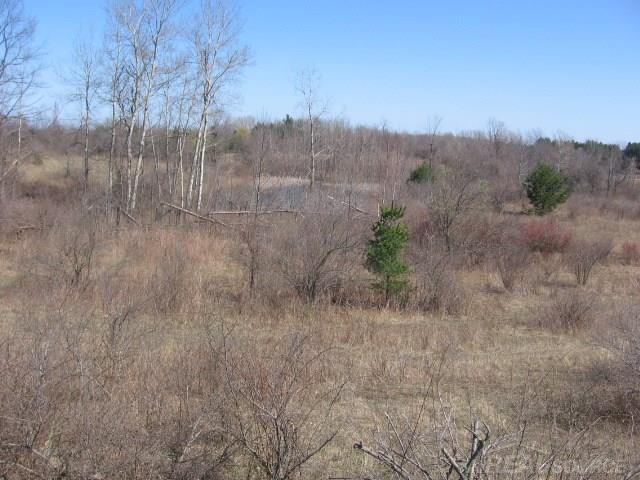 Vl Townsend Applegate, MI 48401 - Photo 5 of 31