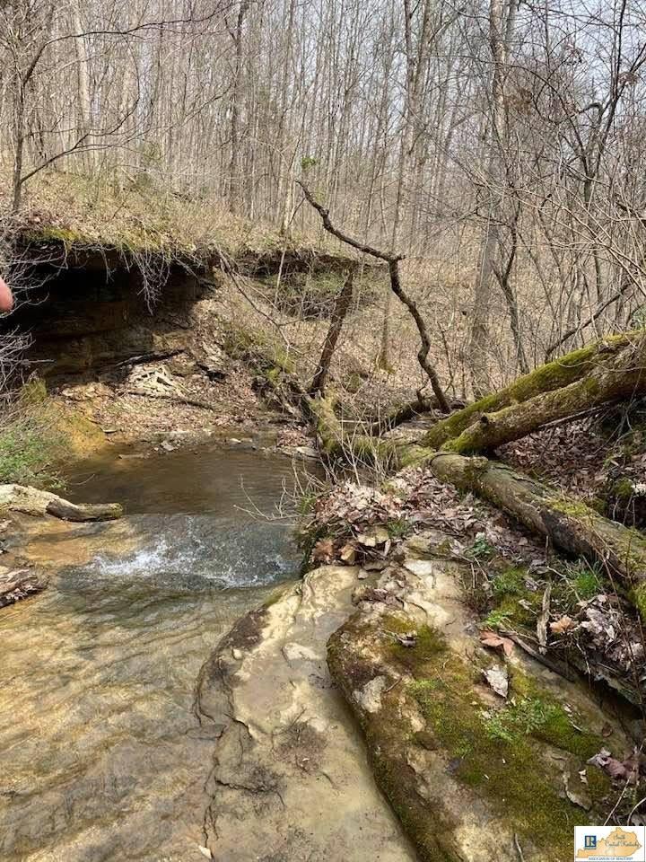 3300 Wards Road Mount Sherman, KY 42764 - Photo 54 of 71 Gallery Image 54