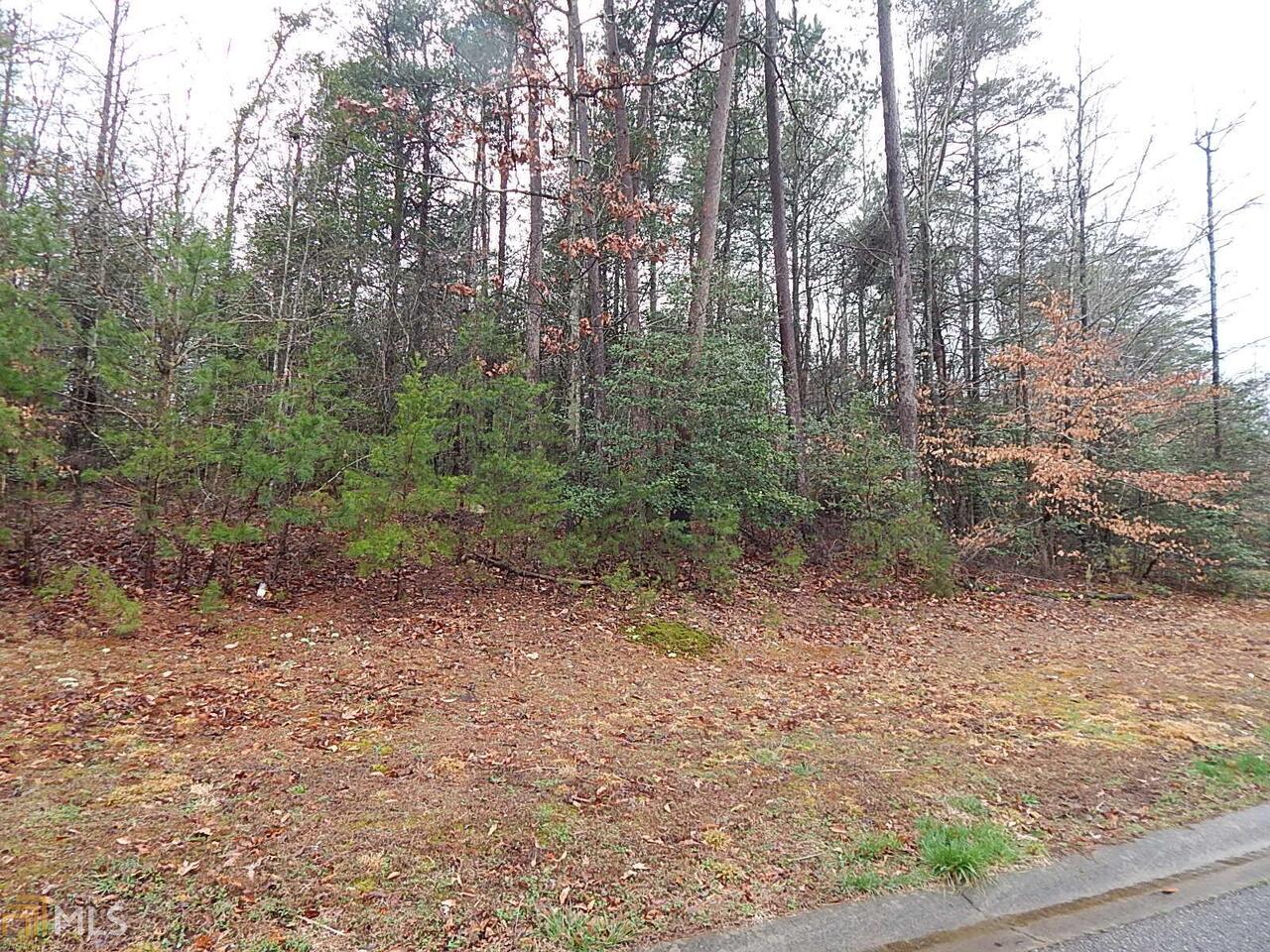 202 Hansen Ridge Homer, GA 30547 - Photo 1 of 1