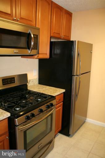 20950 Timber Ridge Terrace, Unit 102 Ashburn, VA 20147 - Photo 4 of 13 Kitchen 1