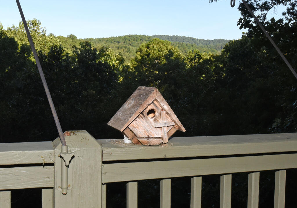 344 Buck Ridge Road Suches, GA 30572 - Photo 36 of 50 Gallery Image 36