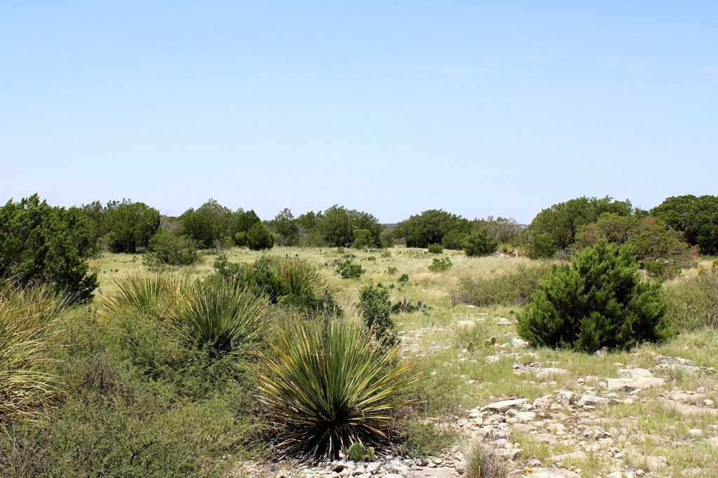2519 Widmark Road Comstock, TX 78837 - Photo 26 of 49 a view of a lake with a city