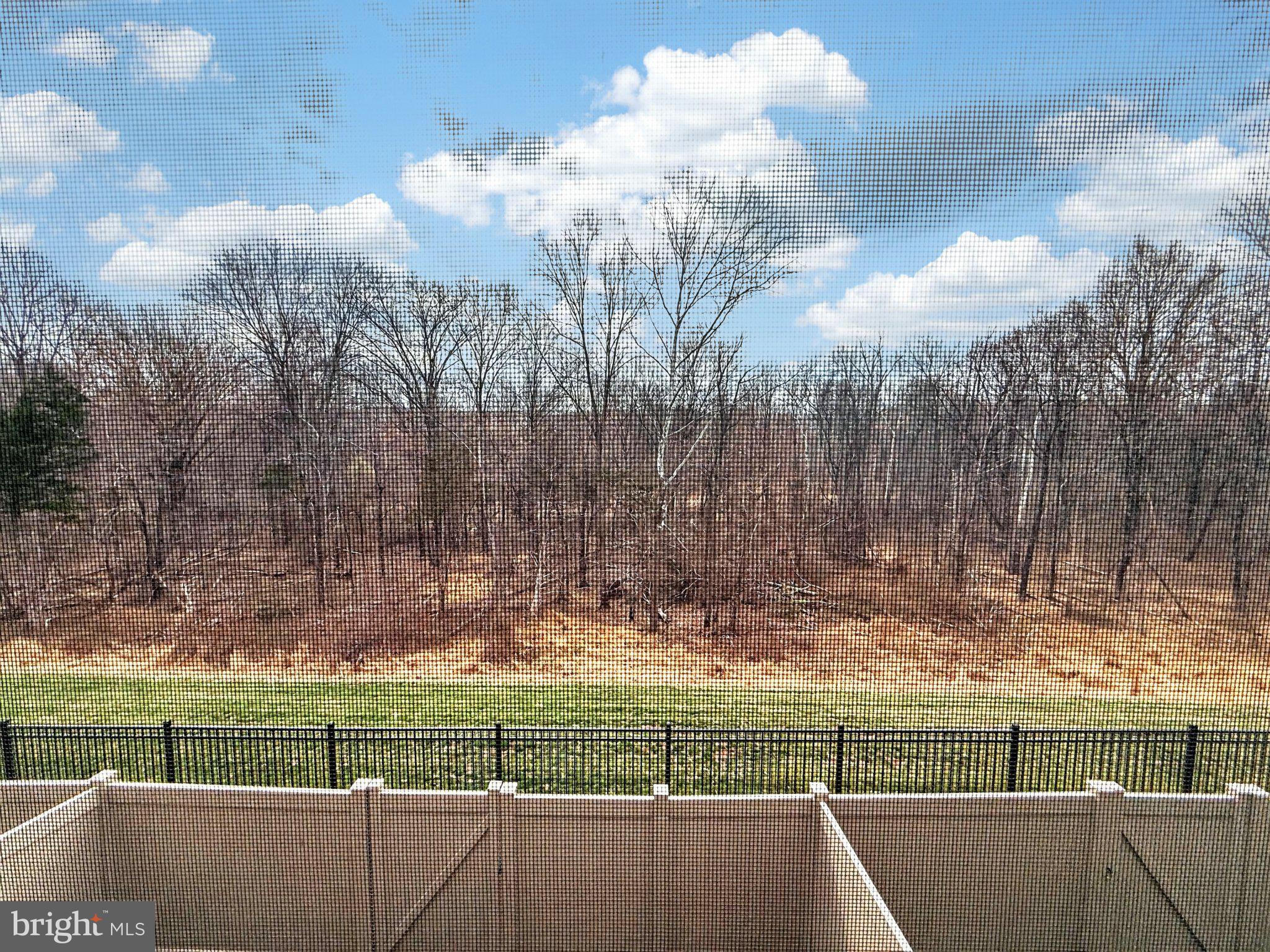 5207 Ridgeview Retreat Drive Chantilly, VA 20151 - Photo 25 of 54 Serene view of nature's embrace.