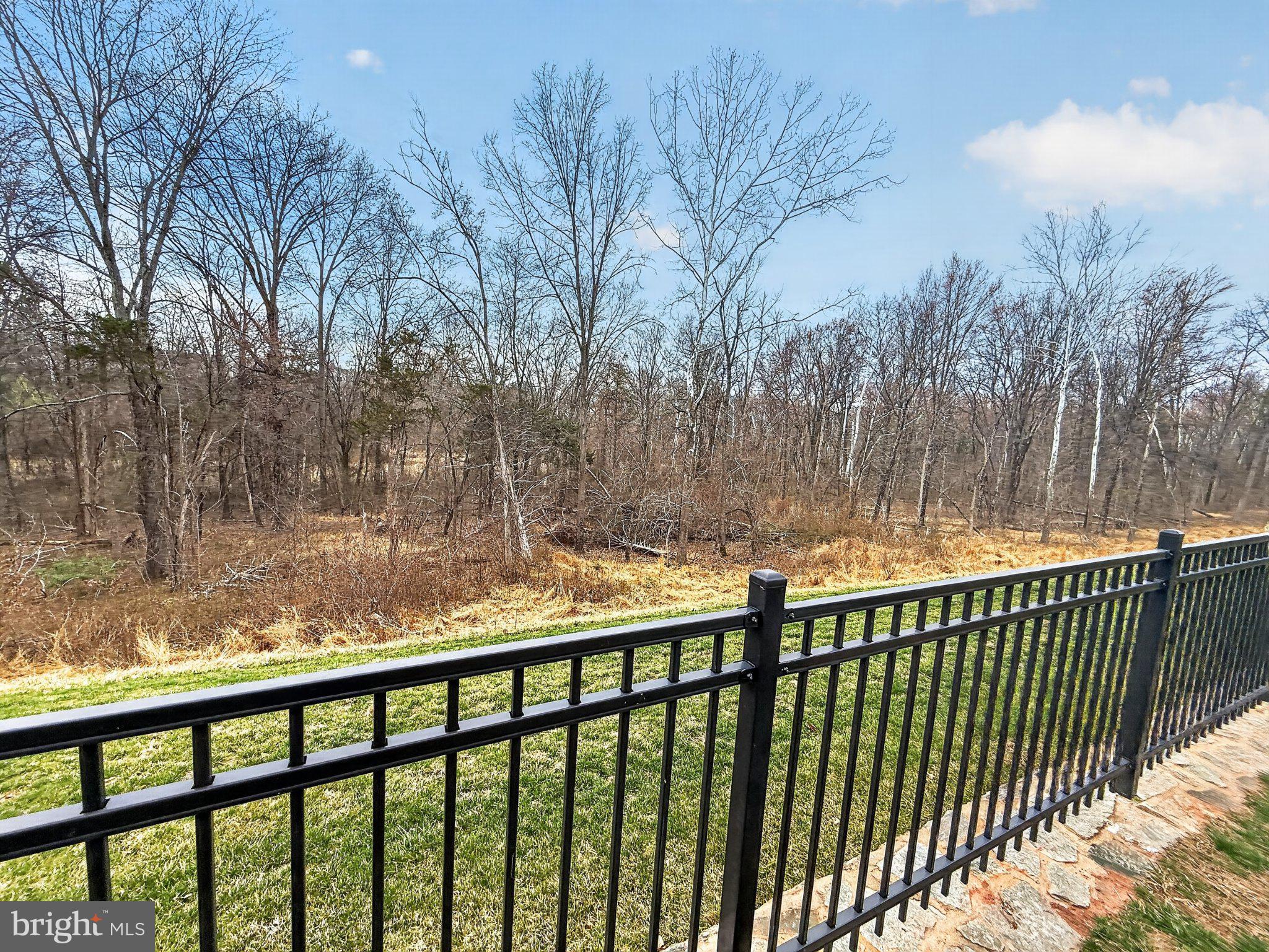 5207 Ridgeview Retreat Drive Chantilly, VA 20151 - Photo 26 of 54 Serene wooded landscape view.