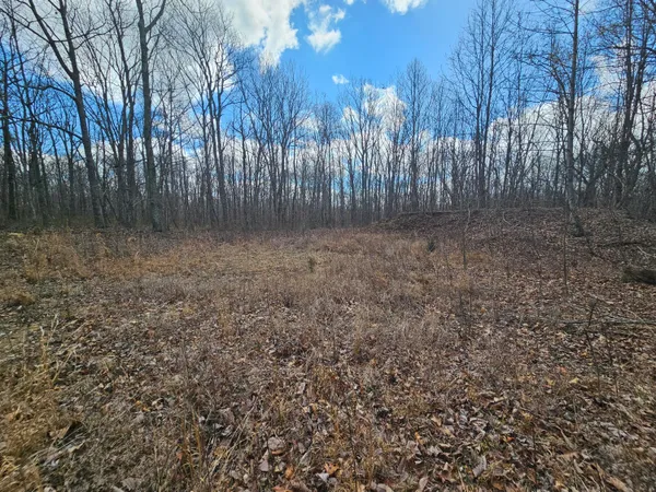 $129,000 | 24 Blumont Drive, Unit 24, Altamont, TN 37301