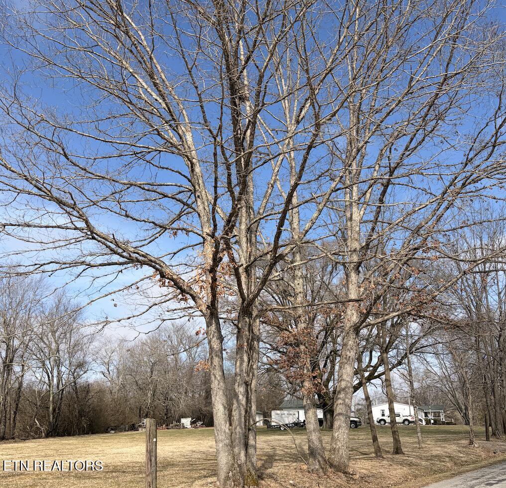 65 Dorton Access Road Crossville, TN 38555 - Photo 6 of 7 Screen Shot 2026-02-09 at 9.20.13 AM