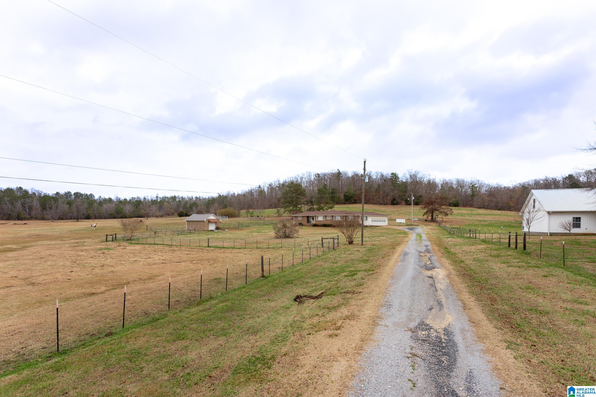 868 Old Field Road Jacksonville, AL 36265 - Photo 29 of 39