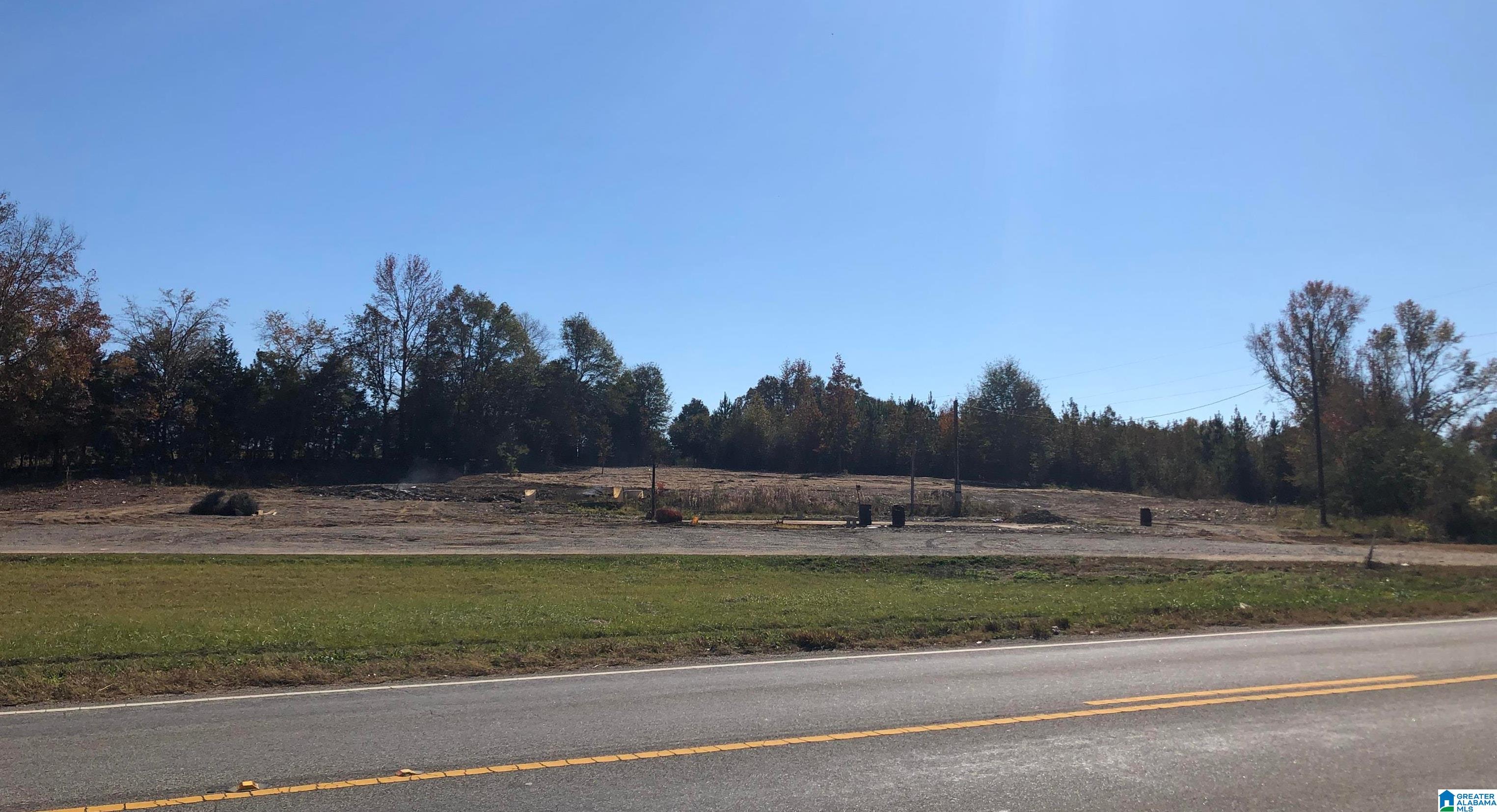 0 County Road 453, Unit 1 Clanton, AL 35046 - Photo 2 of 4