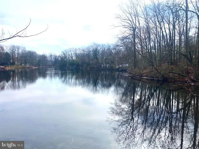 a view of a lake with a tree