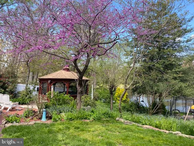 a view of a garden with large trees