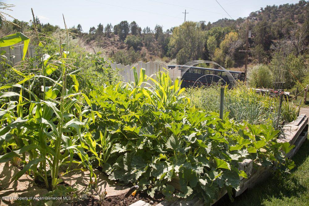 4660 Co Road New Castle, CO 81647 - Photo 30 of 39 garden