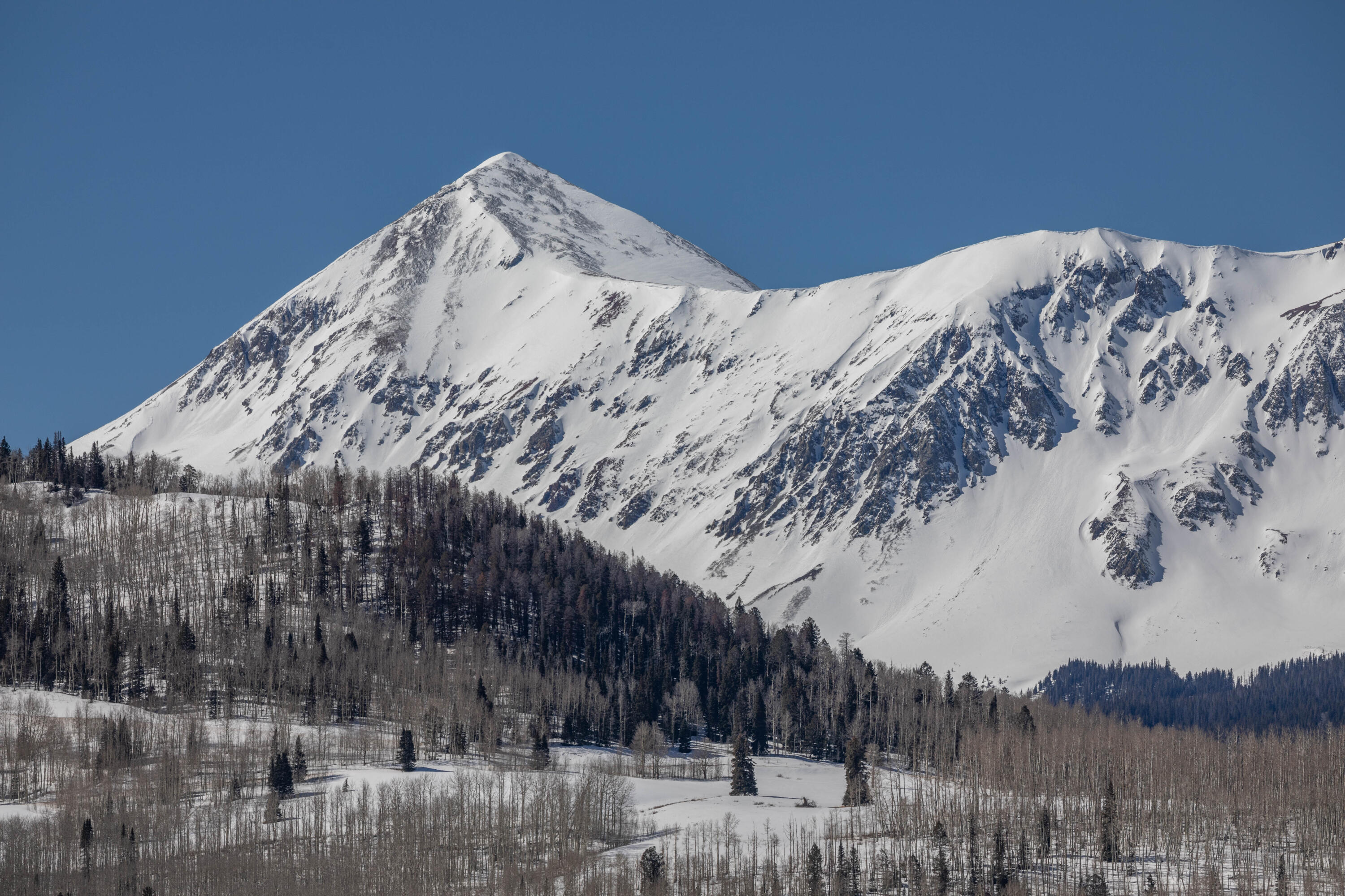 727 West Anderson Road Placerville, CO 81430 - Photo 25 of 31 a view of a dry yard covered with snow