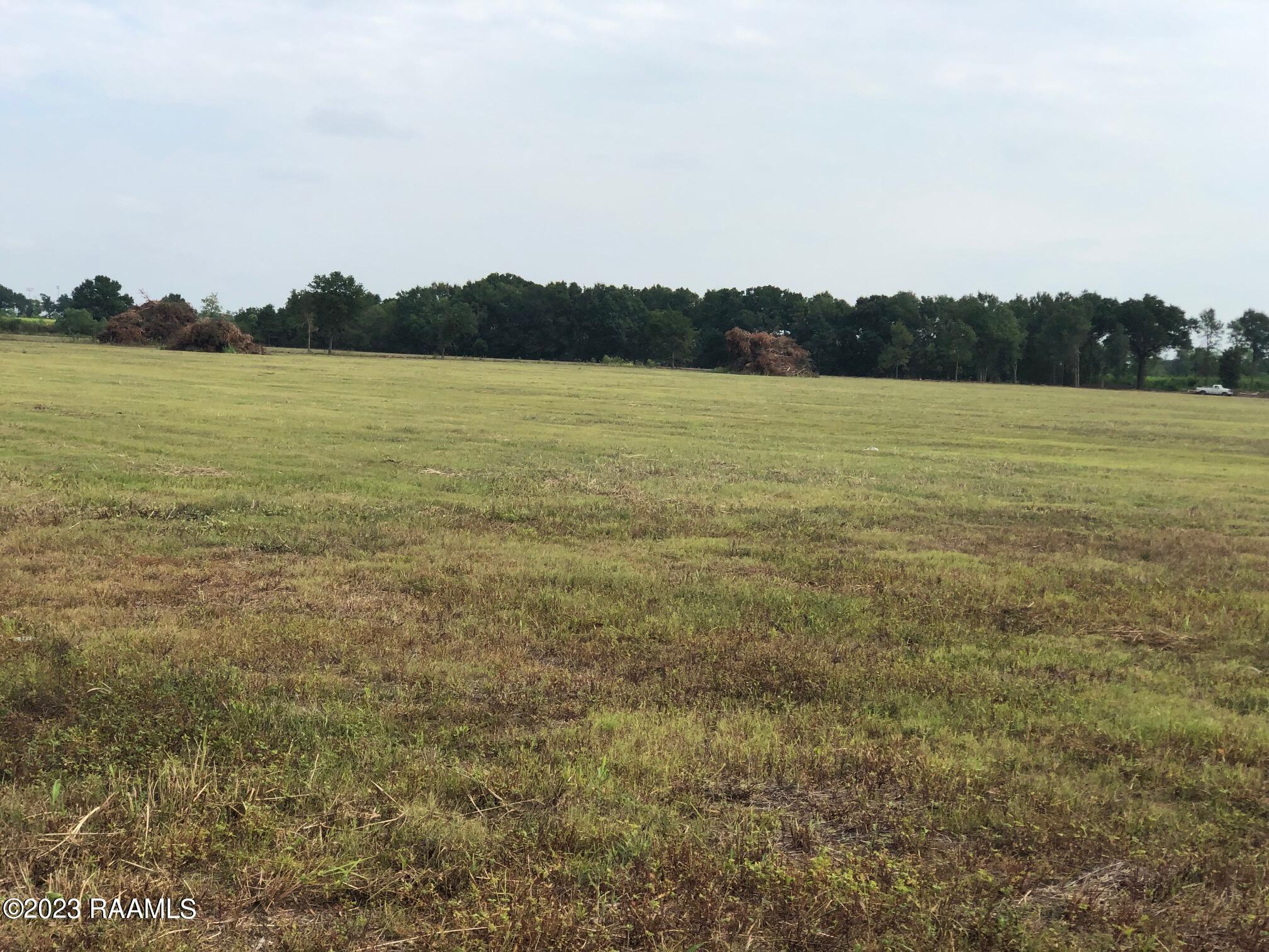 Tbd Dalton Road Kaplan, LA 70548 - Photo 1 of 1
