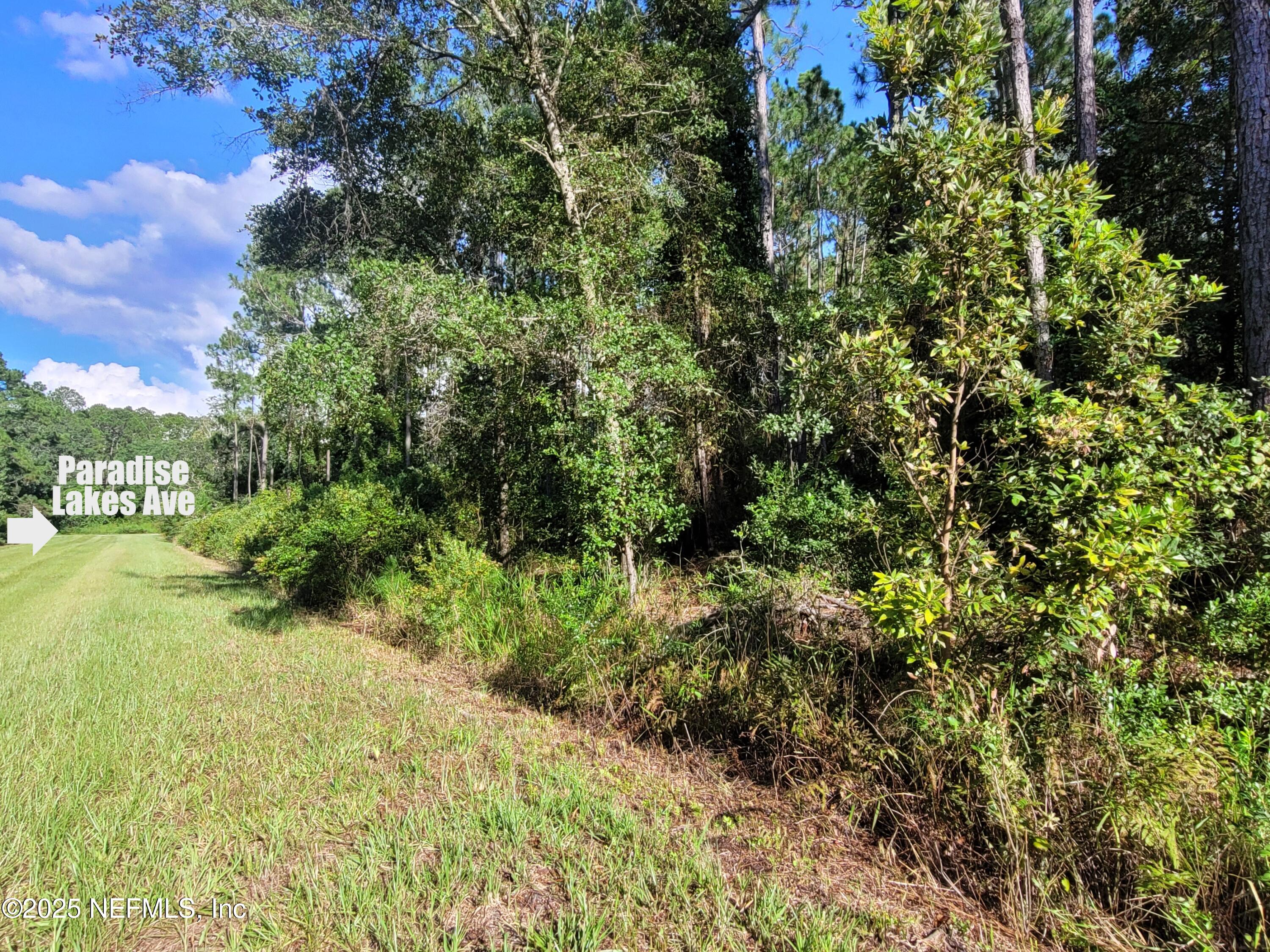225 Carteret Road Georgetown, FL 32139 - Photo 11 of 12 a view of a garden with plants