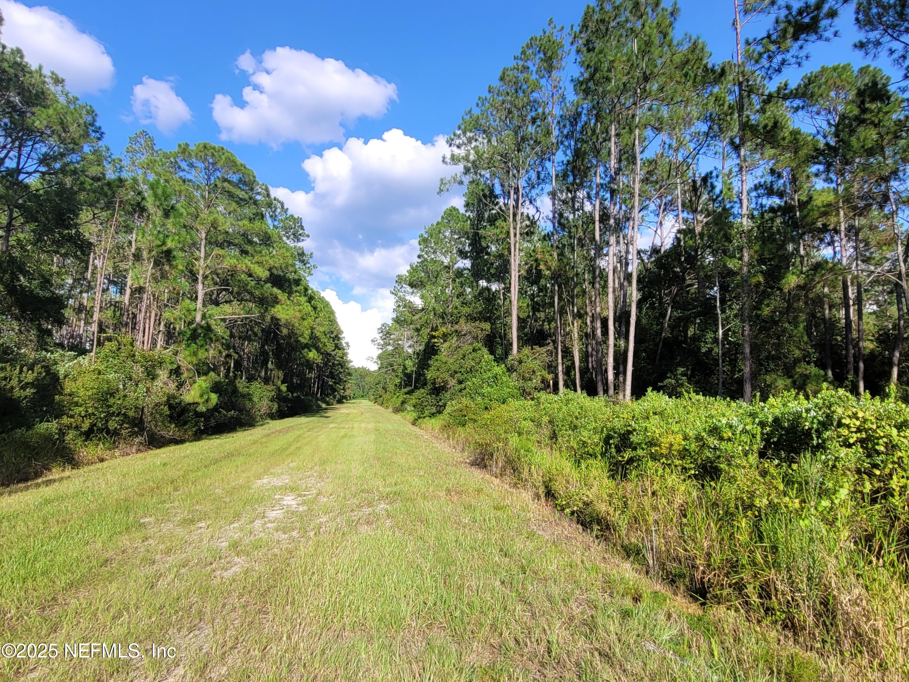 225 Carteret Road Georgetown, FL 32139 - Photo 2 of 12 a view of backyard with green space