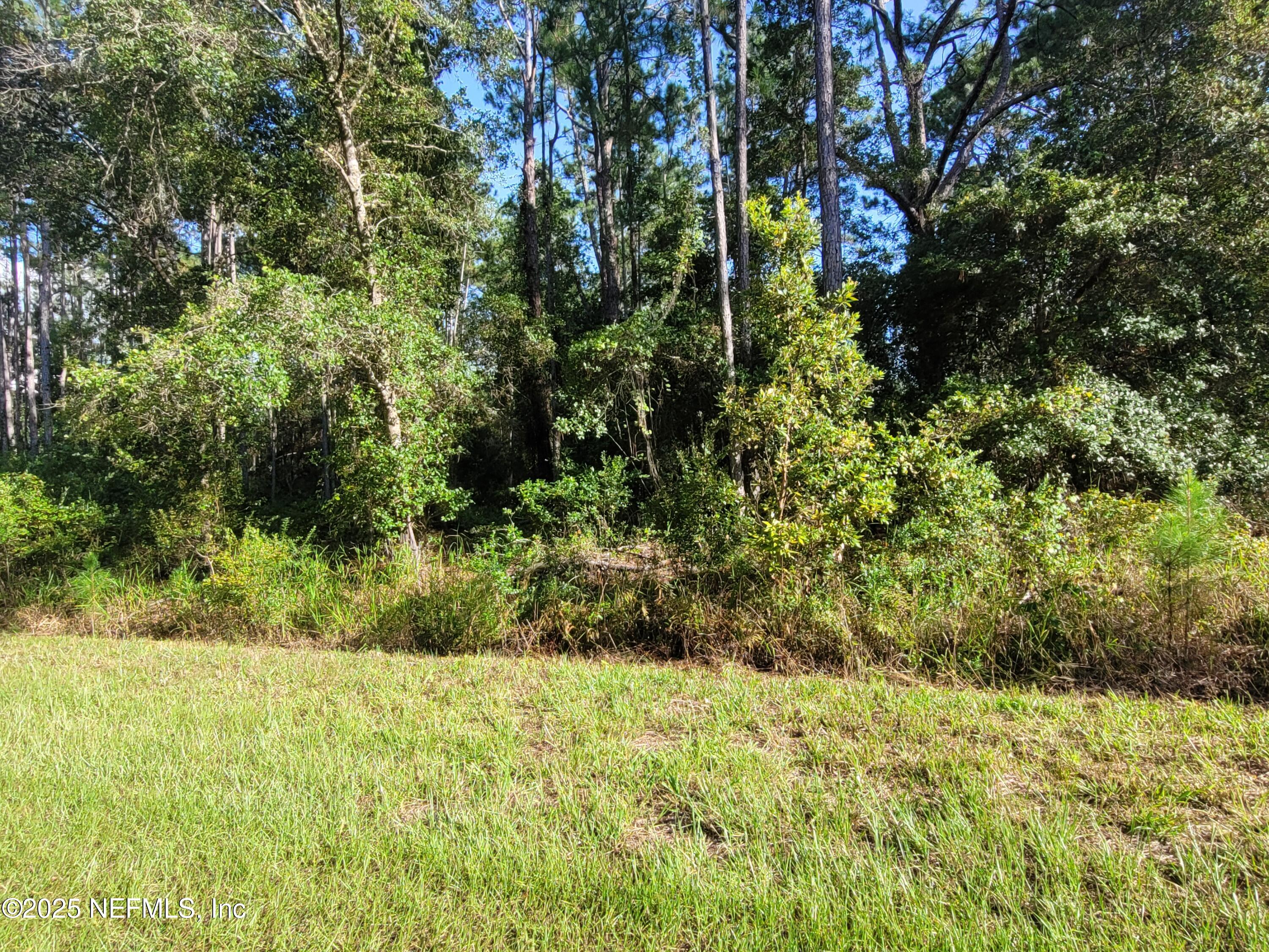 225 Carteret Road Georgetown, FL 32139 - Photo 8 of 12 a view of outdoor space and yard