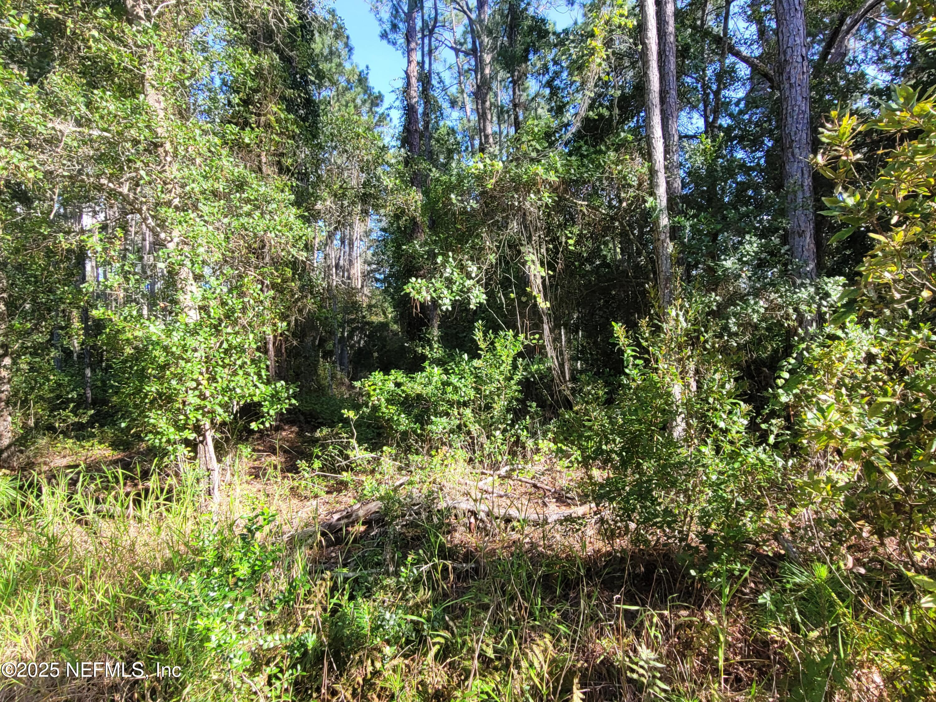 225 Carteret Road Georgetown, FL 32139 - Photo 9 of 12 a view of a garden