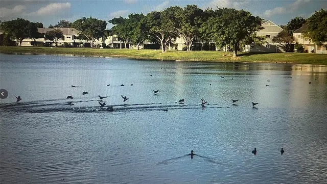 $1,700 | 3405 Northwest 44th Street, Unit 105, Lauderdale Lakes, FL 33309