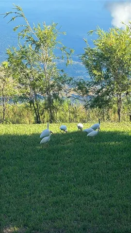 $1,700 | 3405 Northwest 44th Street, Unit 105, Lauderdale Lakes, FL 33309