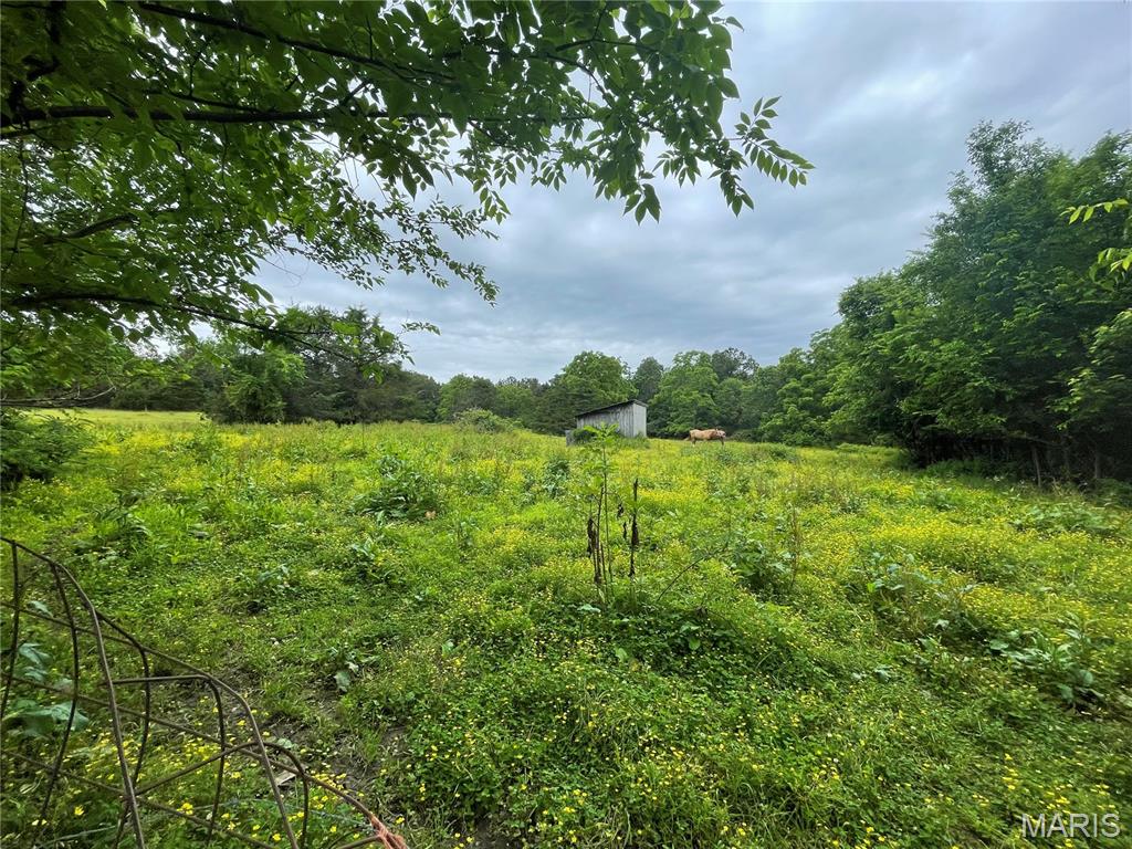 623 County Road 6590 Salem, MO 65560 - Photo 16 of 65