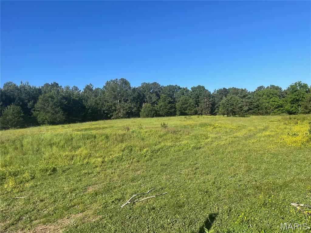 623 County Road 6590 Salem, MO 65560 - Photo 65 of 65