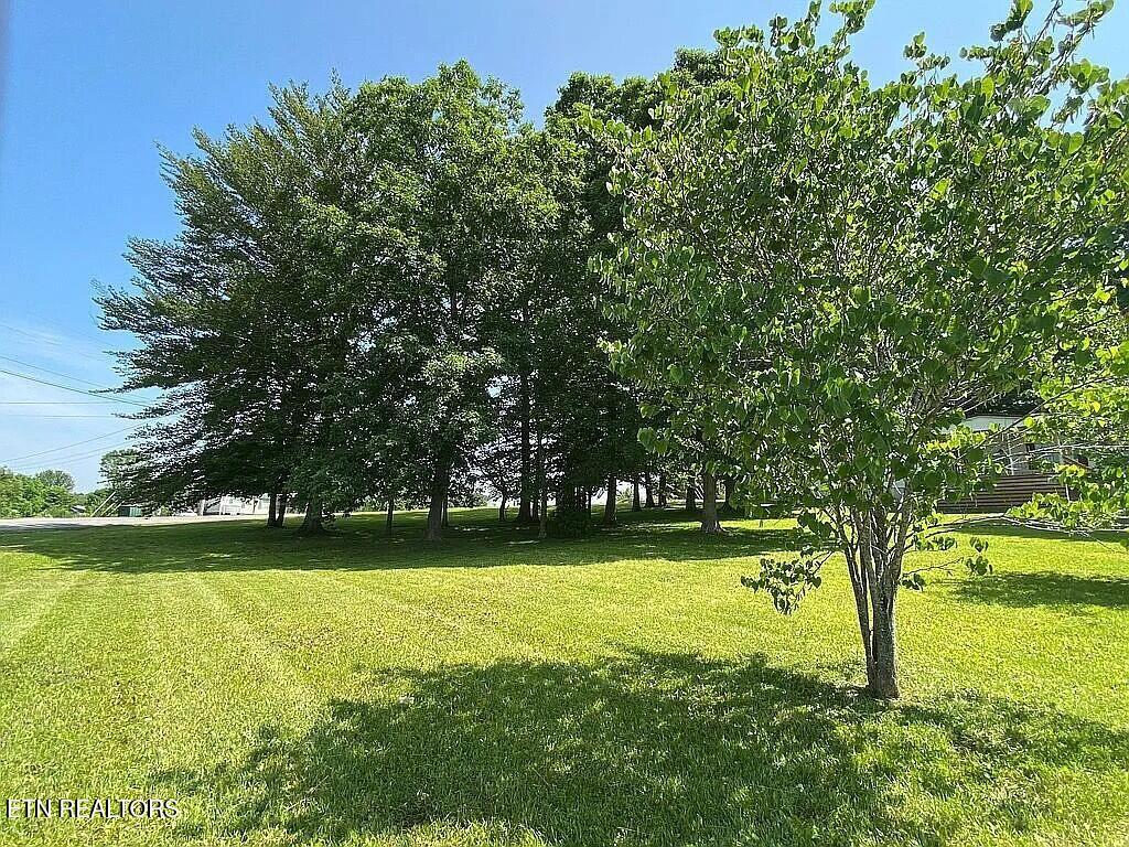 717 Ross Lane Winfield, TN 37892 - Photo 3 of 26 front yard