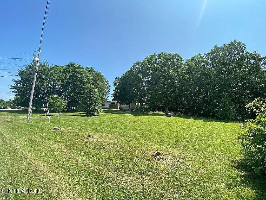 717 Ross Lane Winfield, TN 37892 - Photo 4 of 26 extra lot