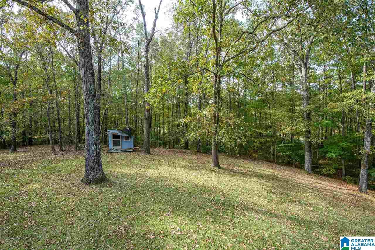 146 Cape Road Bessemer, AL 35023 - Photo 10 of 47