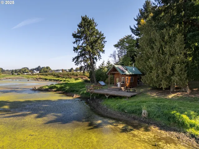 a view of a bunch of trees