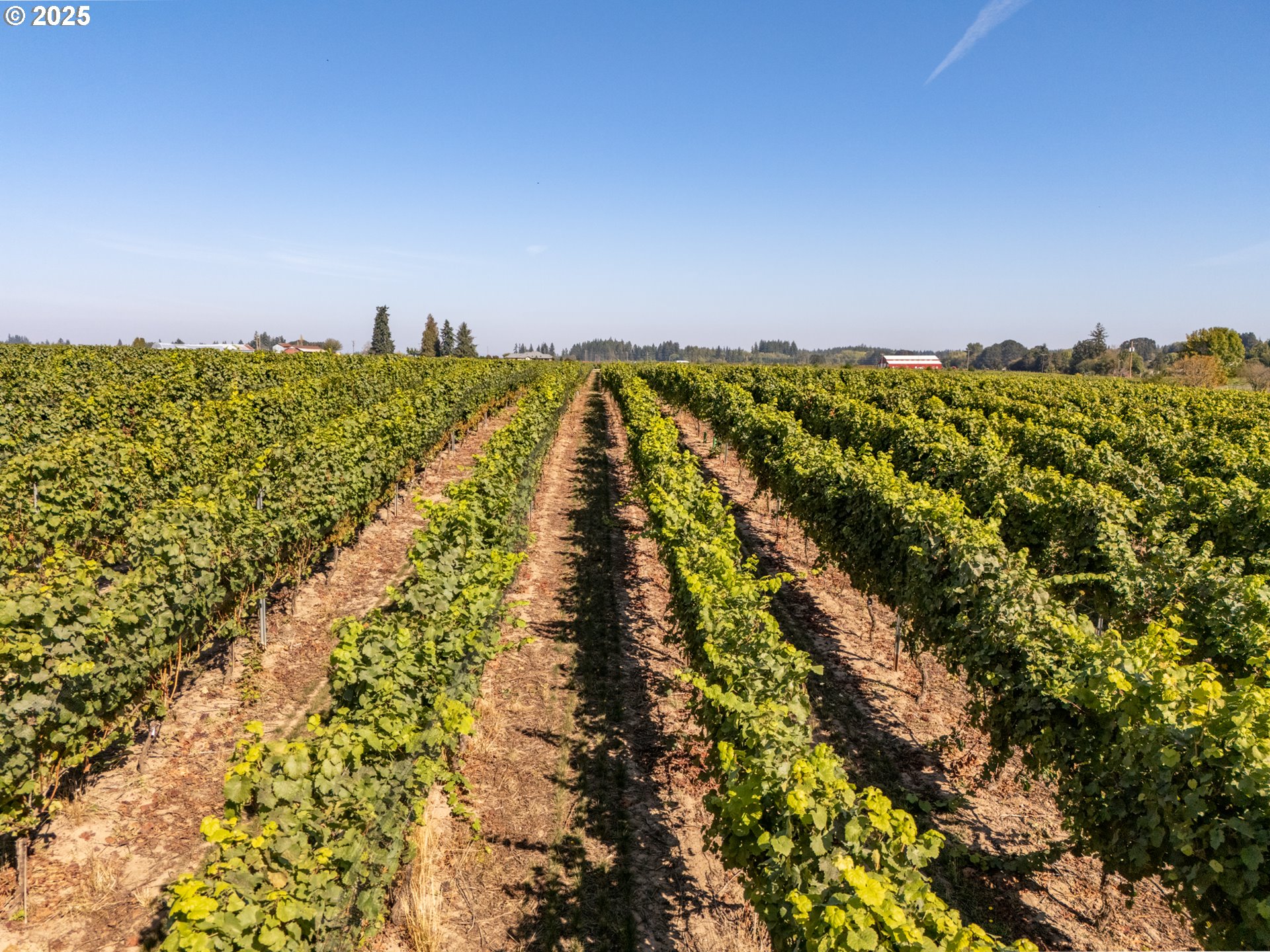 24730 Southwest Tile Flat Road Hillsboro, OR 97123 - Photo 33 of 48