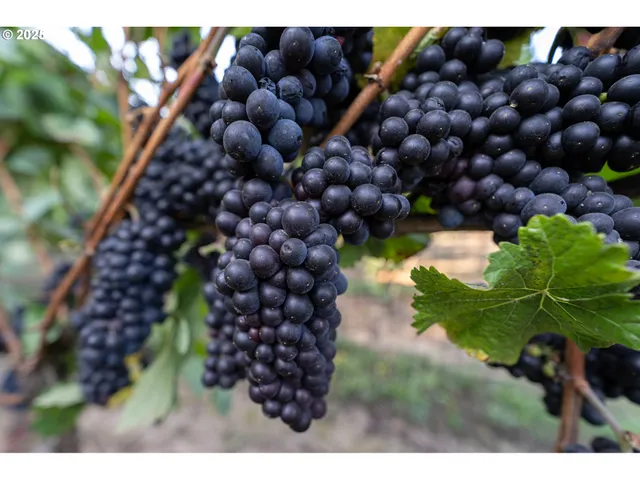 a view of an ocean view