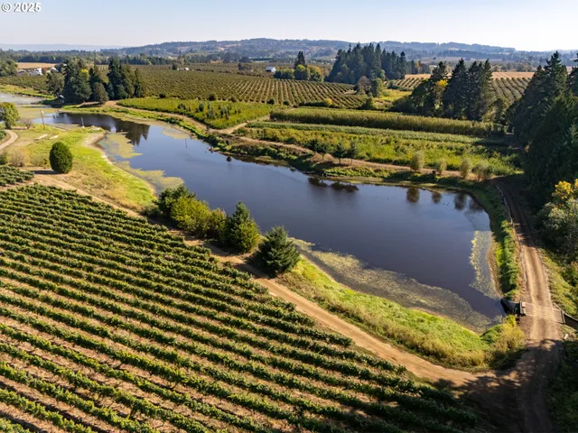 an aerial view of a tennis court