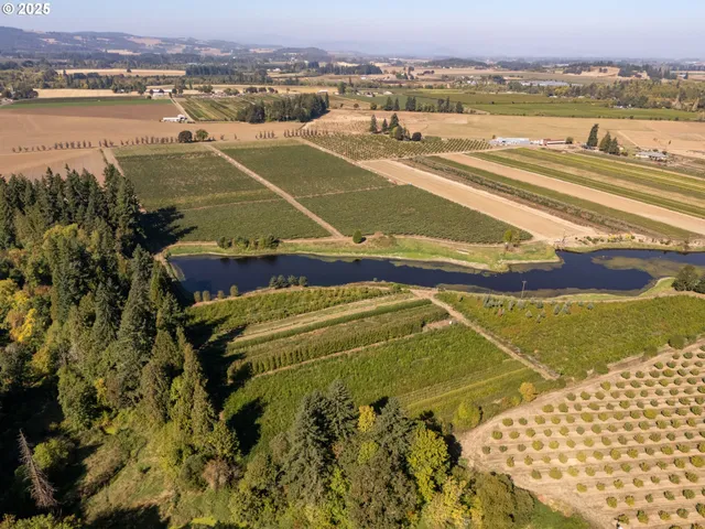 an aerial view of a house with a lake view