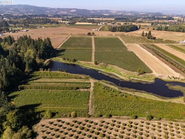 a view of a lake with a mountain