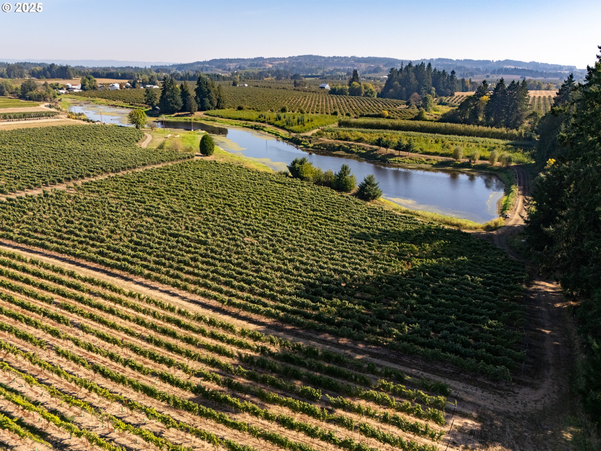 24730 Southwest Tile Flat Road Hillsboro, OR 97123 - Photo 43 of 48