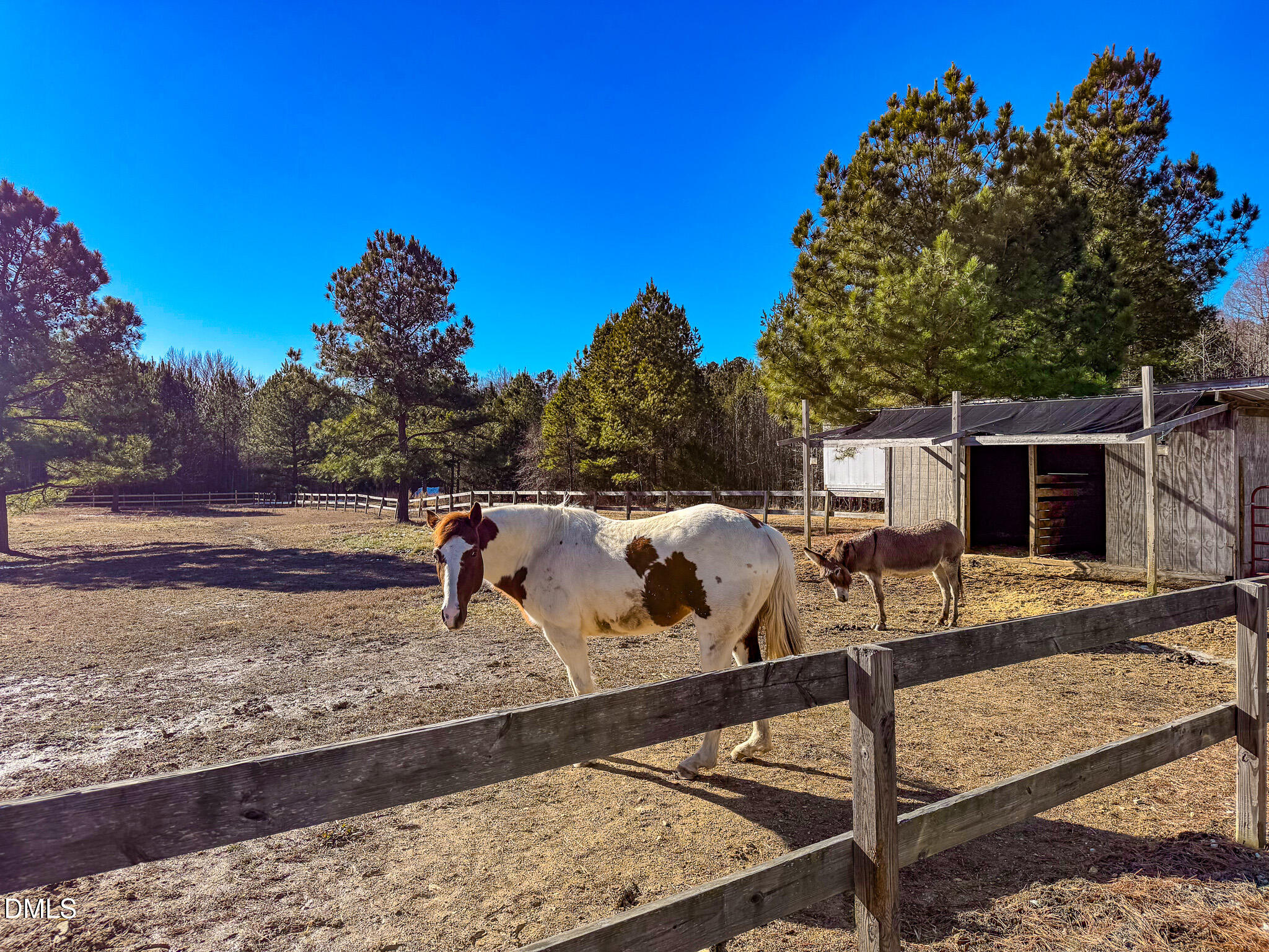 125 Ninovan Place Rougemont, NC 27572 - Photo 21 of 55 21