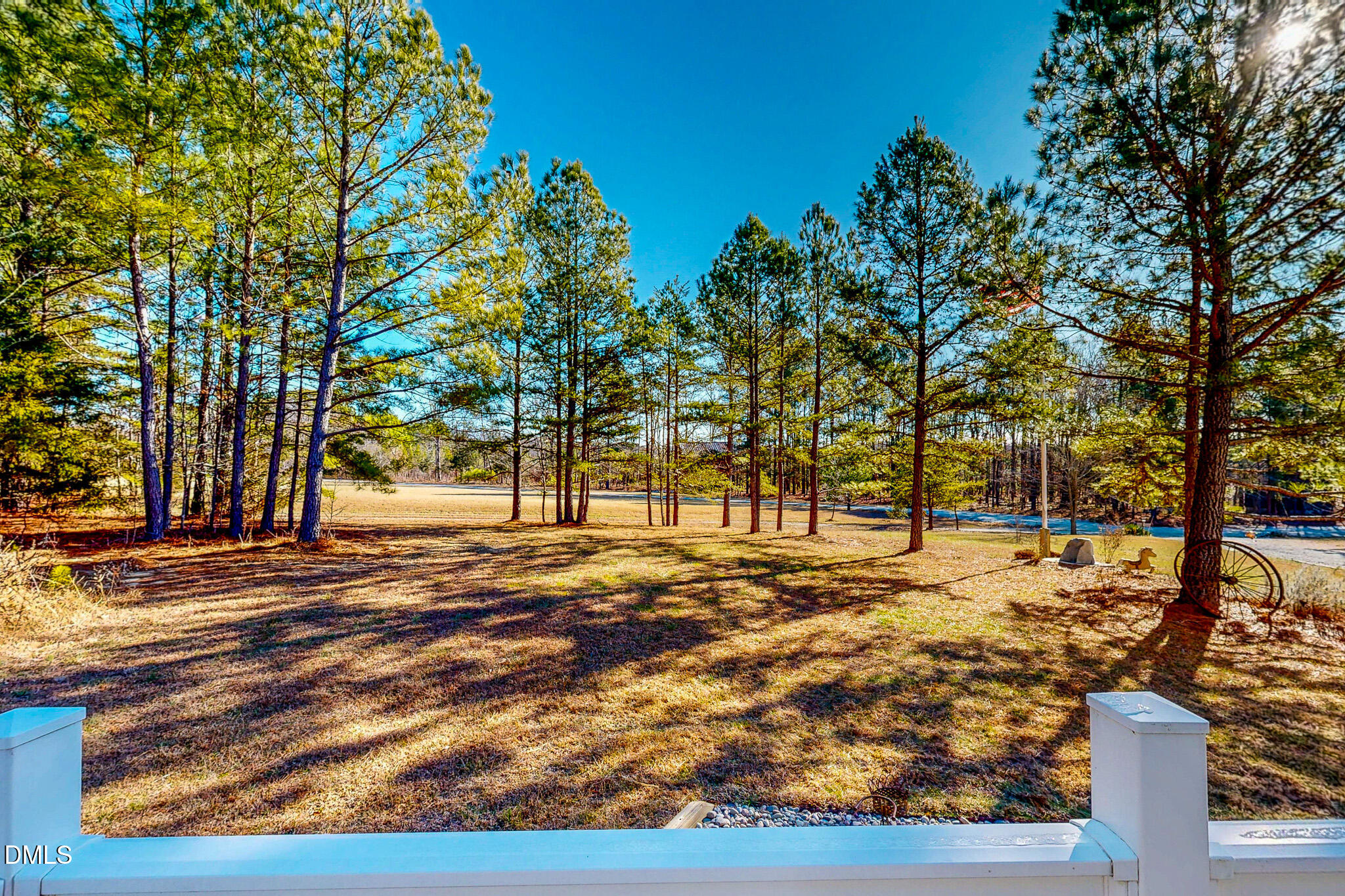 125 Ninovan Place Rougemont, NC 27572 - Photo 48 of 57 a view of a yard with plants and trees