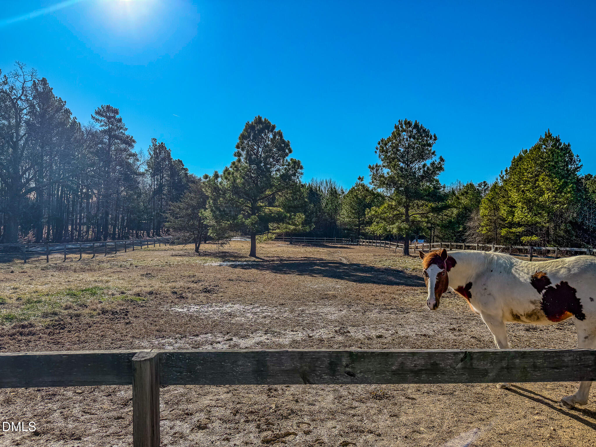 125 Ninovan Place Rougemont, NC 27572 - Photo 54 of 55 a view of a yard with wooden fence
