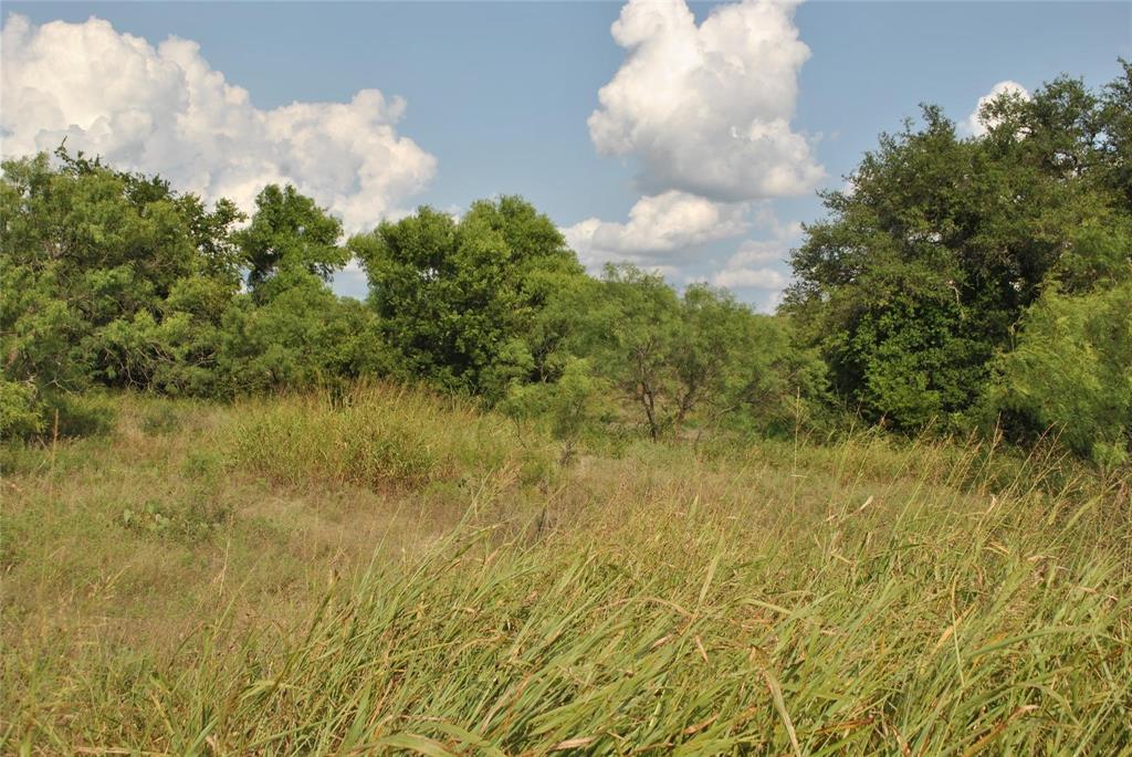Tbd Tbd Greenwood Road Comanche, TX 76442 - Photo 1 of 1 Gallery Image 1